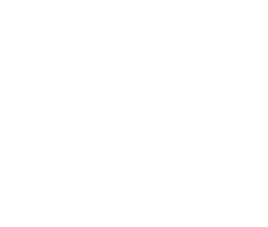 TroubleMag